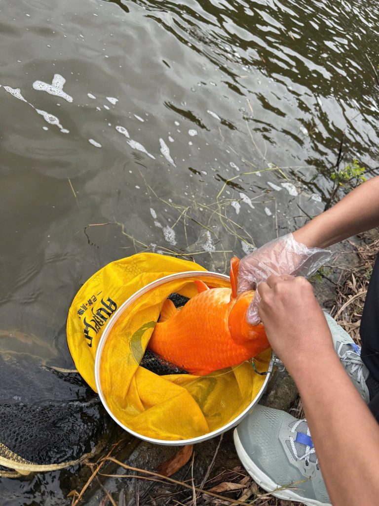 Đập Sun – Hà Sơn, Thanh Hoá