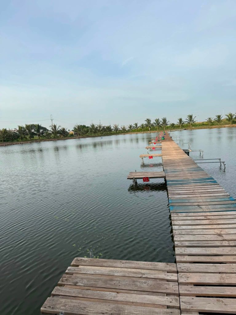 Hồ câu 8X – Sơn Đồng, Hà Nội