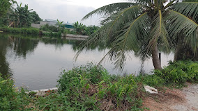Hồ câu Đương Vy – Hải Phòng